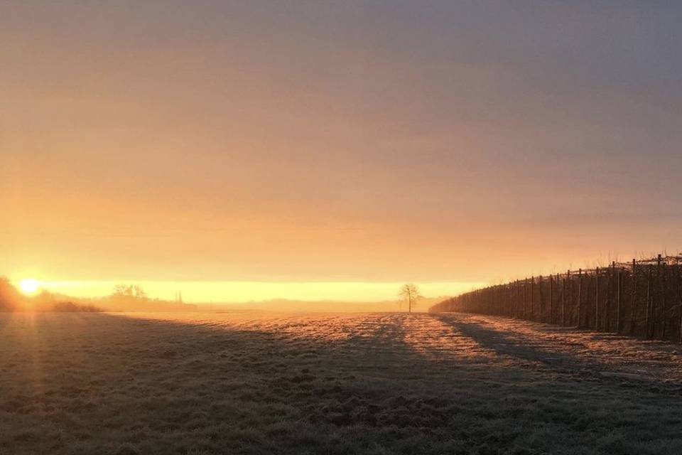Levé de soleil en Touraine