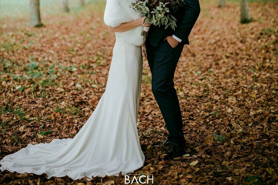 Bach Photography