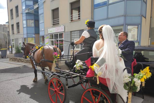 Association Calèches des Puys et Patrimoine