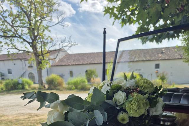 Decor de voiture