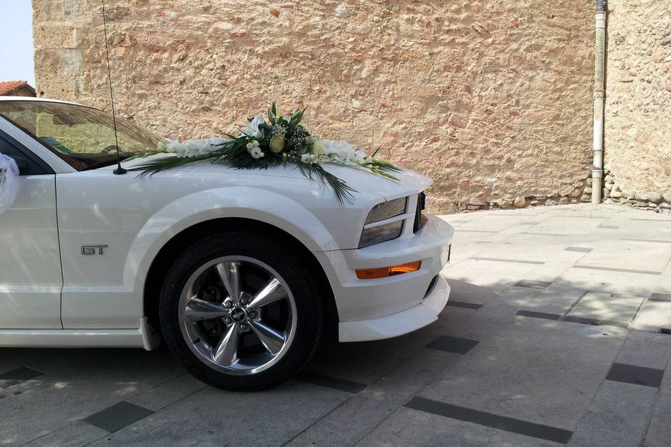 Mustang Wedding