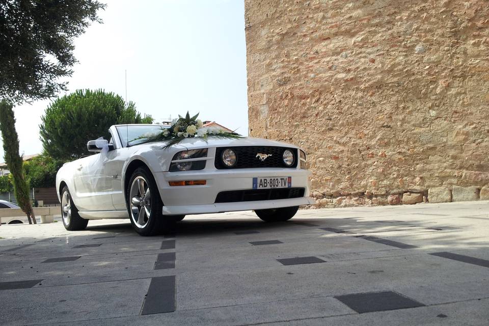 Mustang Wedding