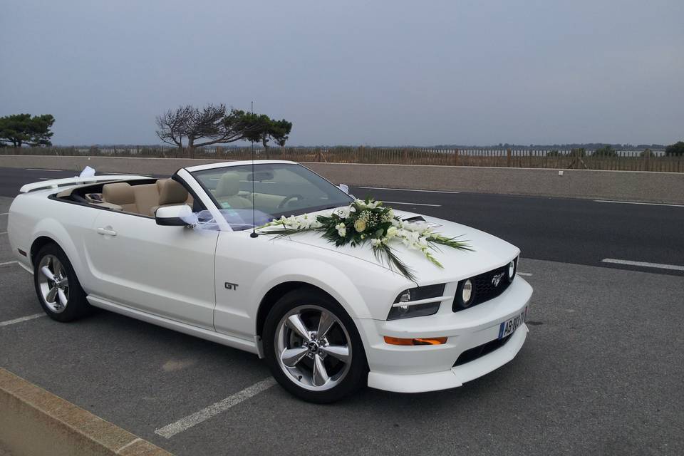 Mustang Wedding