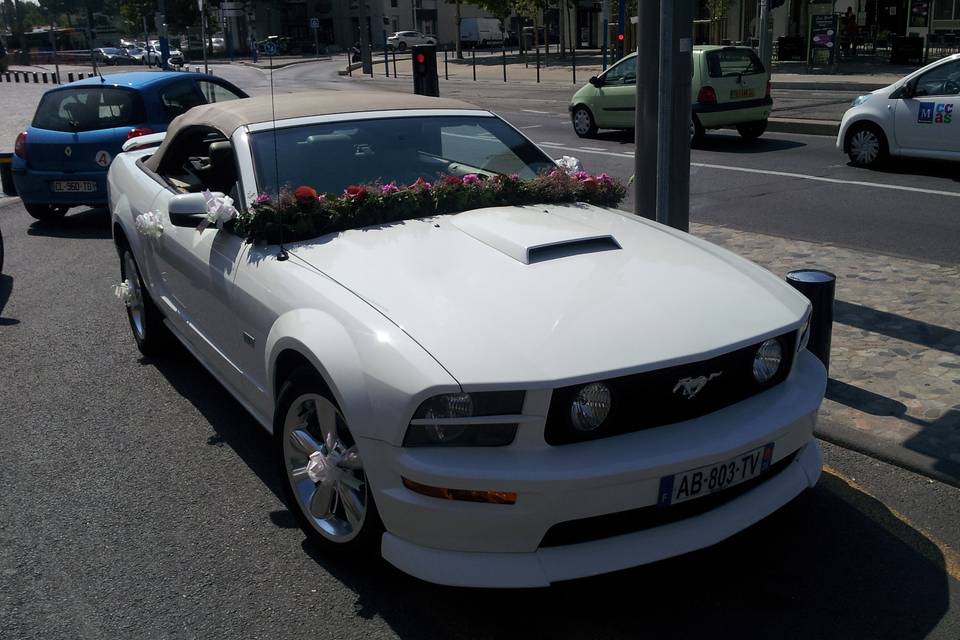 Mustang Wedding