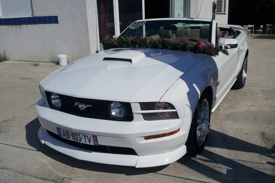 Mustang Wedding