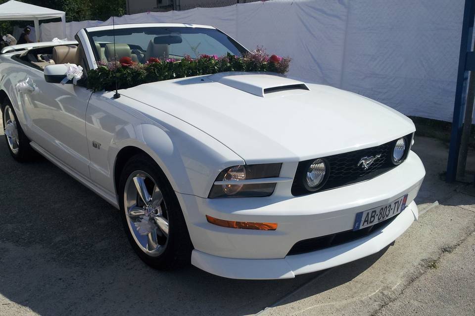 Mustang Wedding