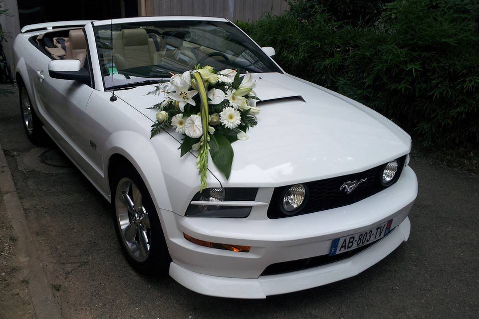 Mustang Wedding