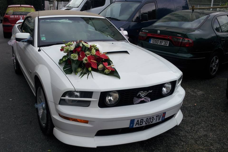 Mustang Wedding