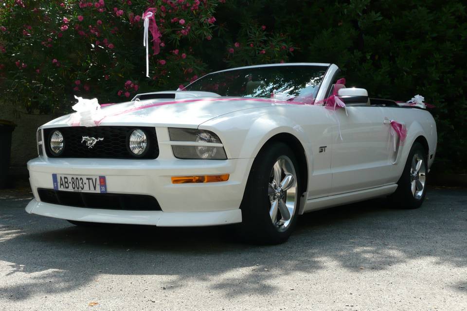 Mustang Wedding