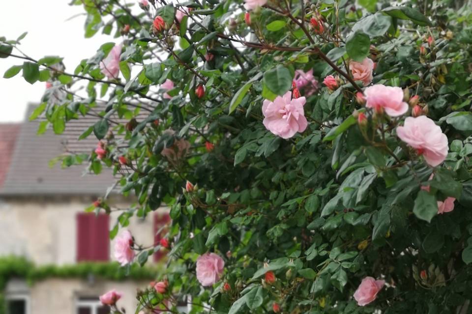 Extérieure