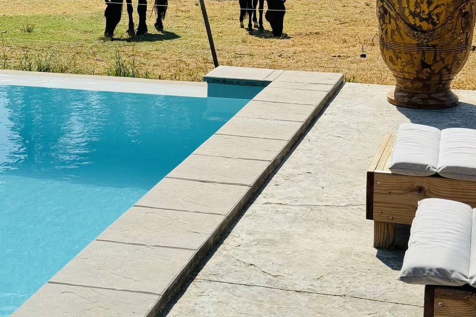 Chevaux