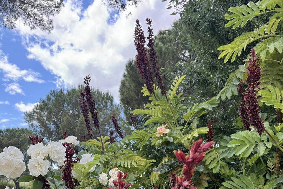 Jardin