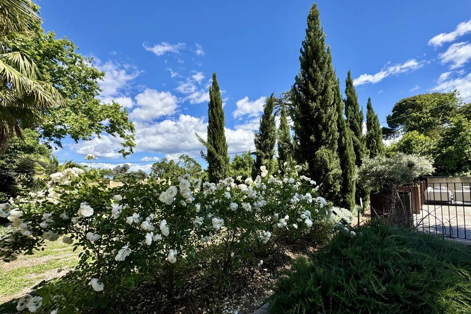 Jardin