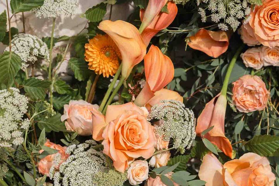 Compositions florales