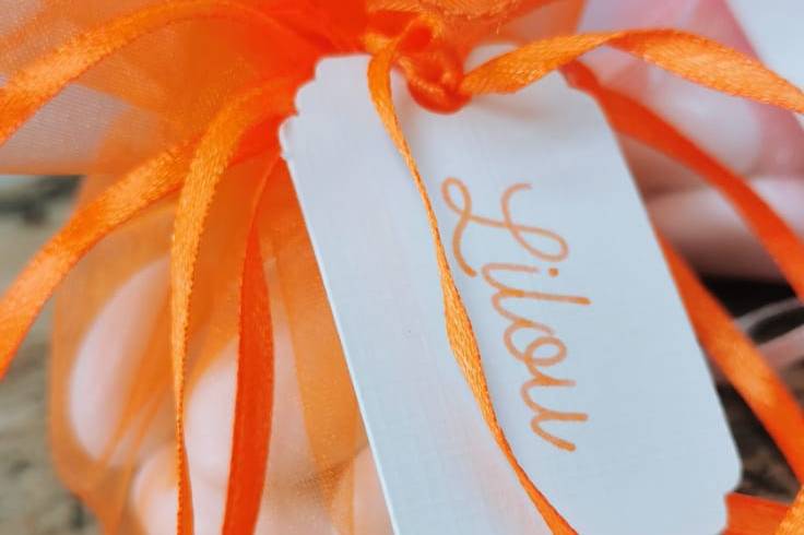 Cadeaux invités dragées