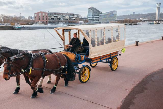 Cheval en Seine