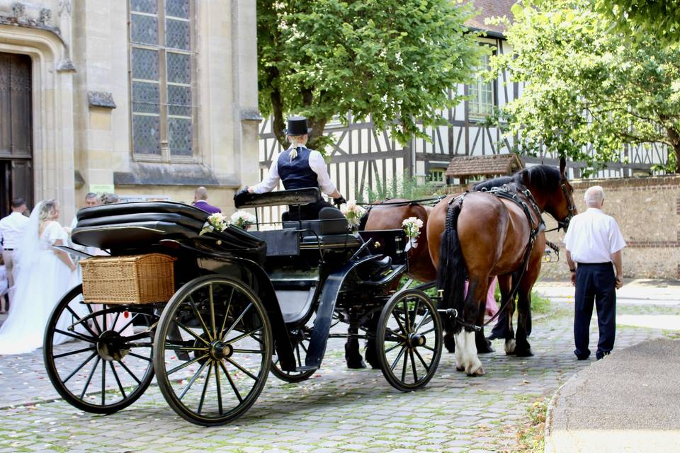 Cheval en Seine
