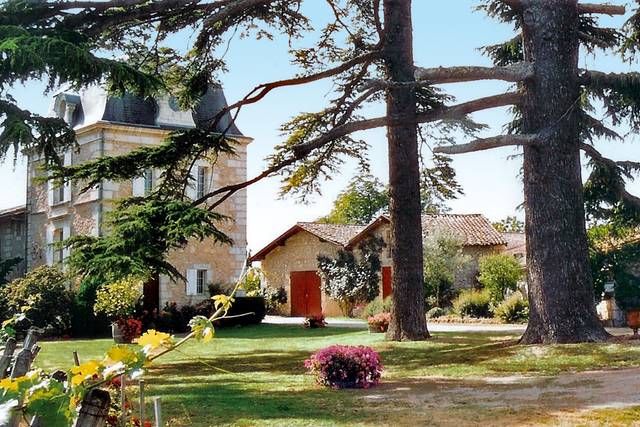 Château Cassagne Haut - Canon