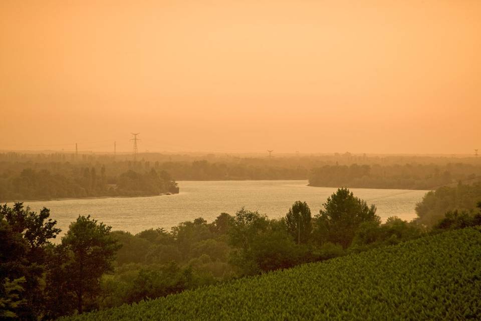 Château Cassagne Haut - Canon