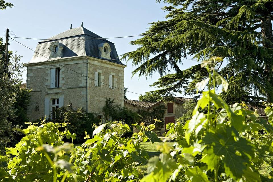 Château Cassagne Haut - Canon