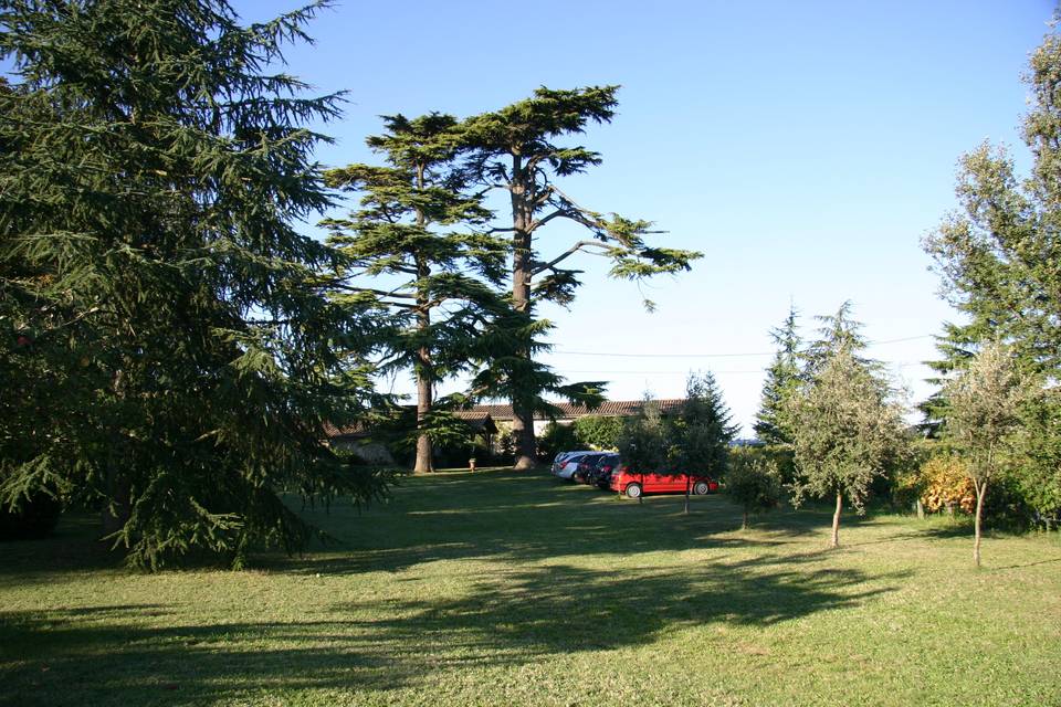 Château Cassagne Haut - Canon