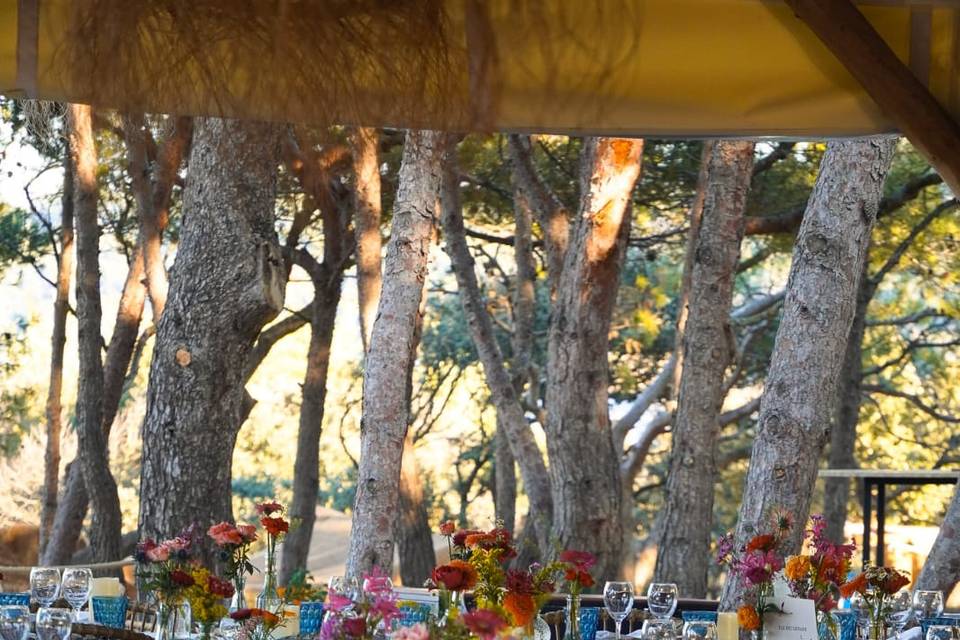 Chemin de table