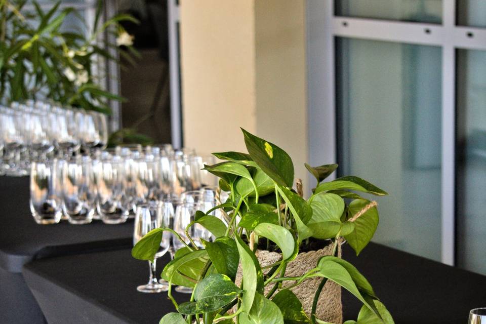 Espace cocktail