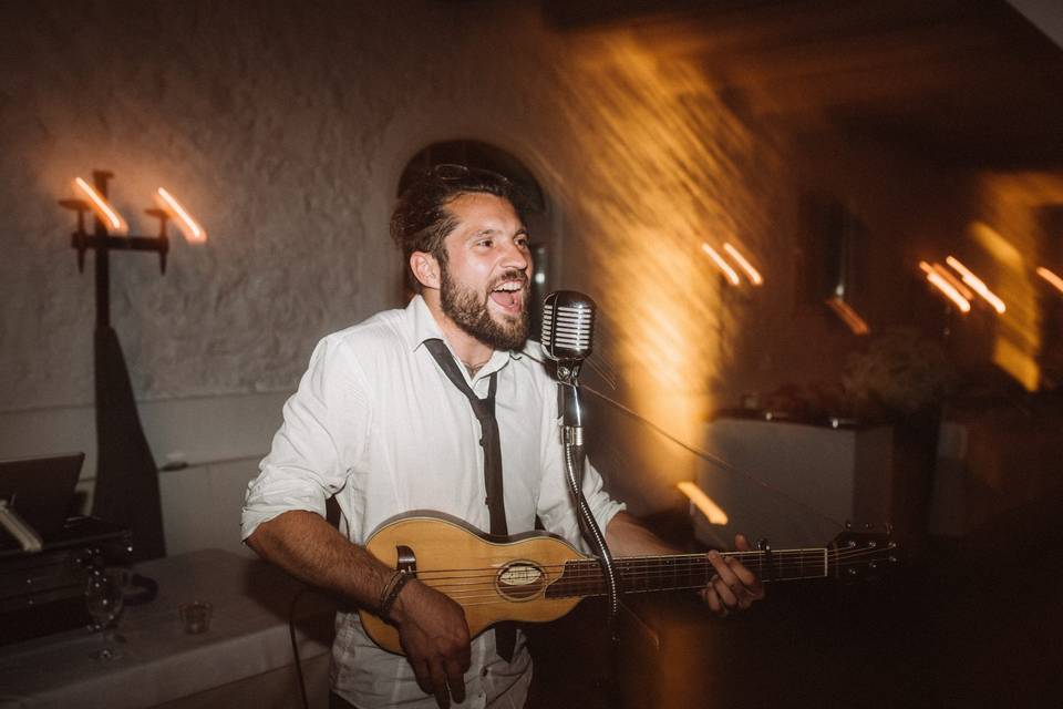Wild Troubadour