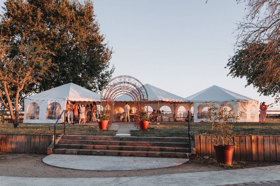 Mariage Alison & Robin
