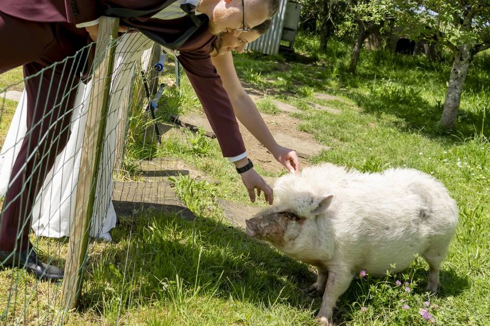 Un petit câlin à Rosette