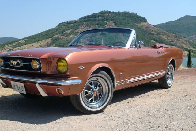 Mustang 66