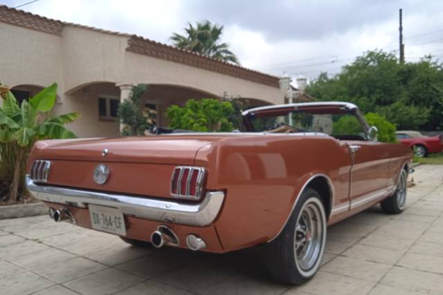 Mustang 66