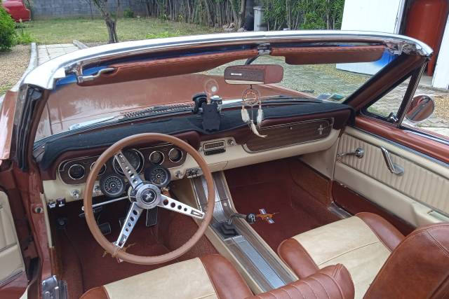 Mustang 66