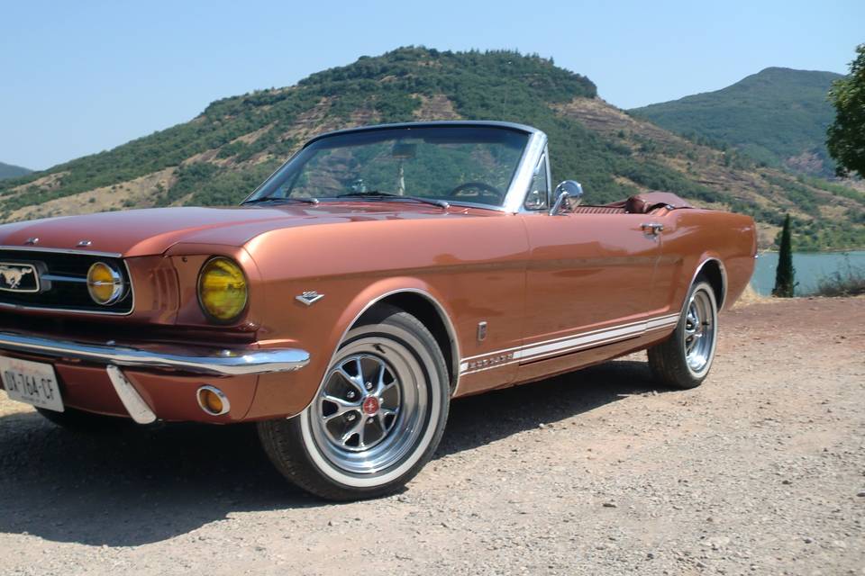 Mustang 66
