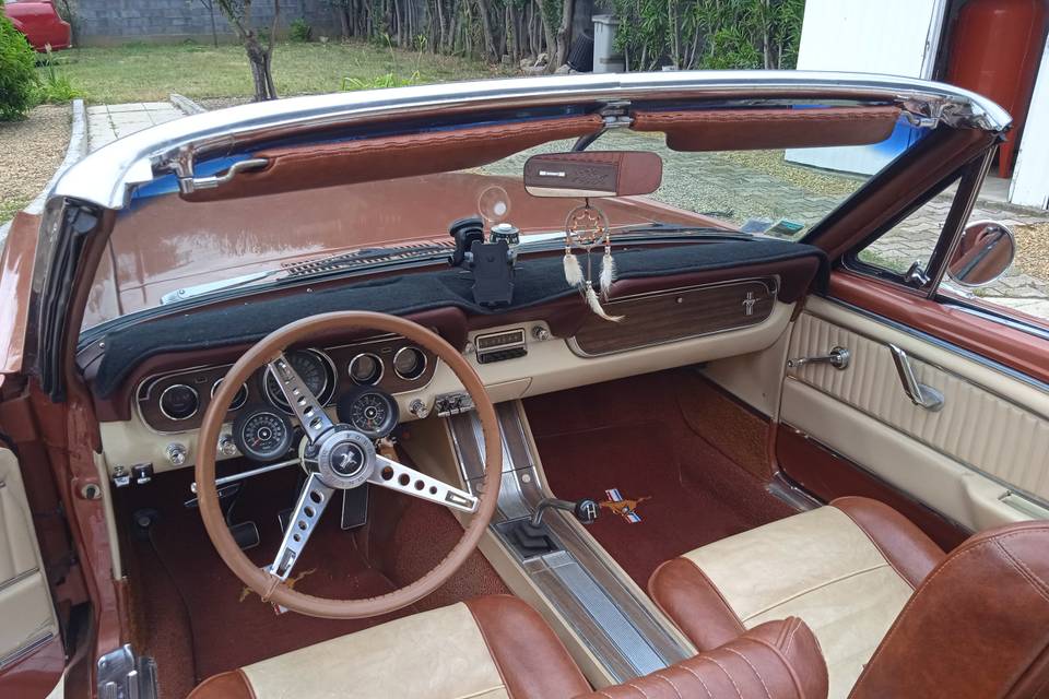 Mustang 66