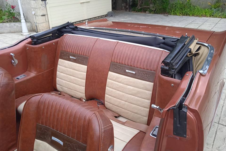 Mustang 66