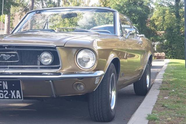 Mustang