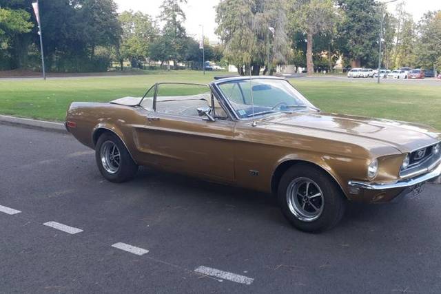 Mustang