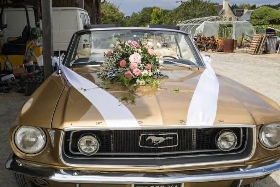 Mustang mariage juin