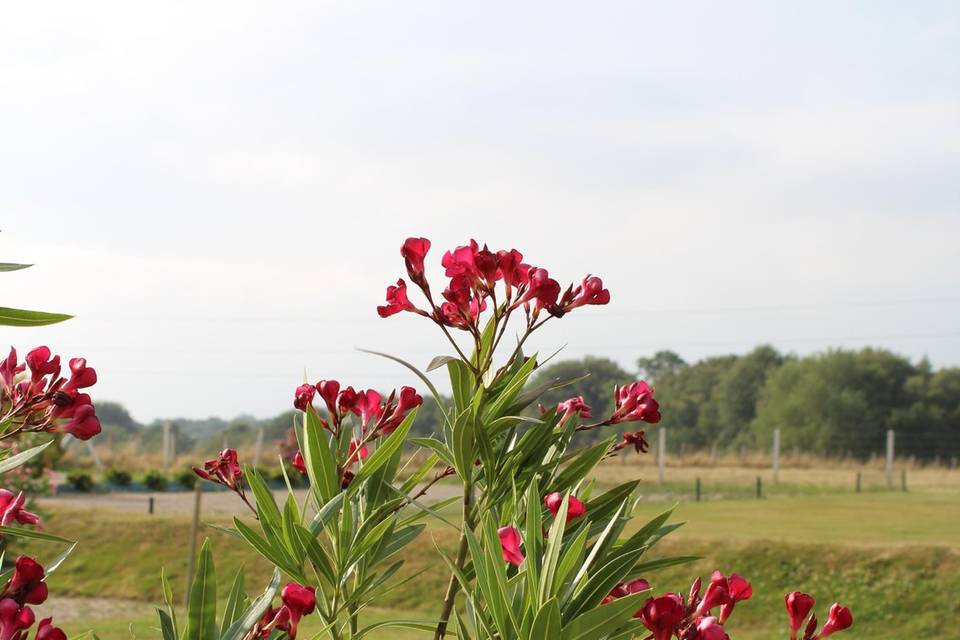 Les extérieurs