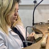 Sara Farhi Vandijck