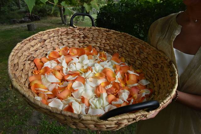 Pétales de roses pour rituel
