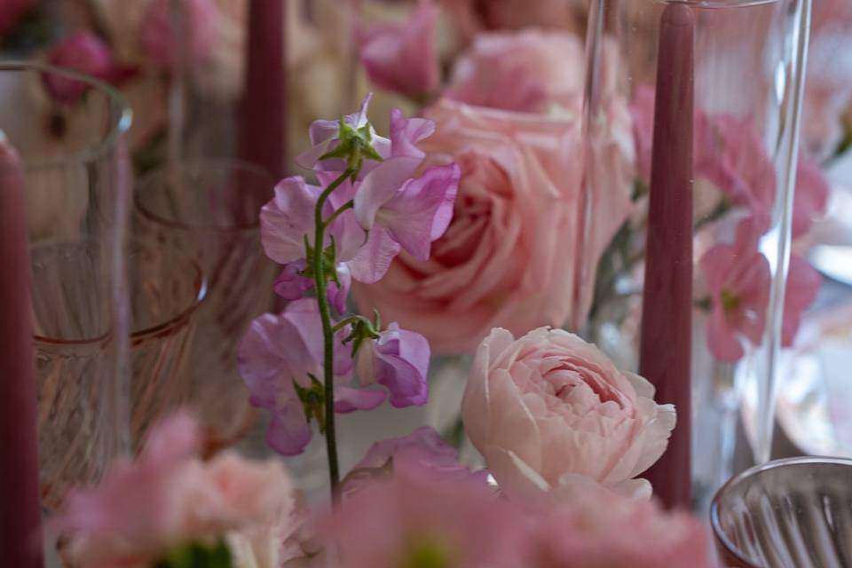Nuances de roses