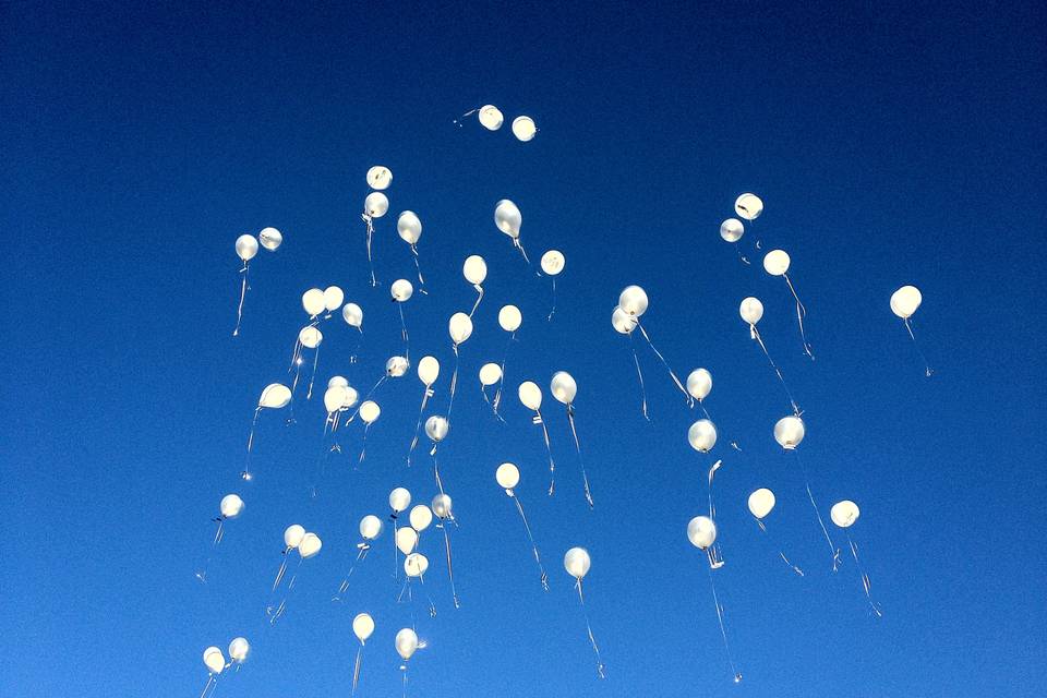 Ballons du bonheur