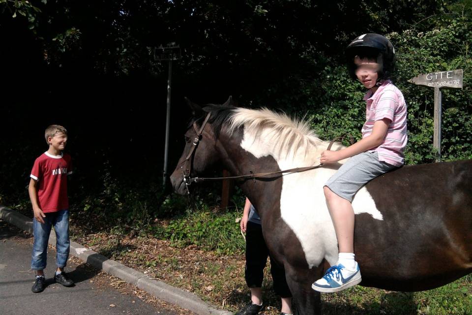 Promenade à cheval