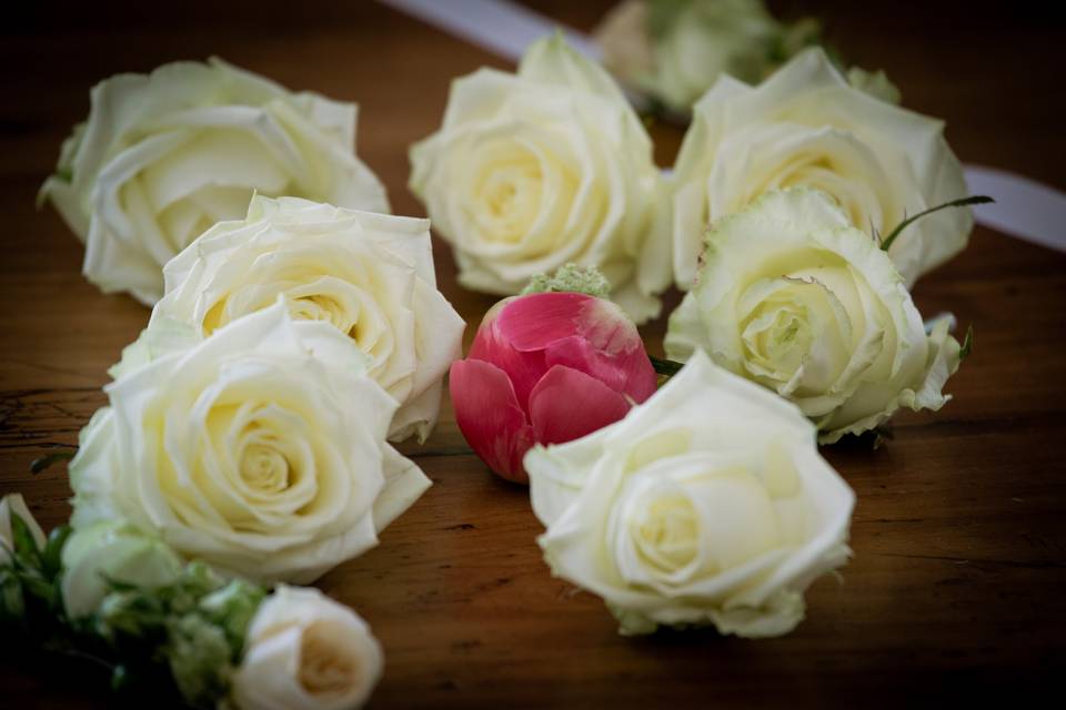 Roses