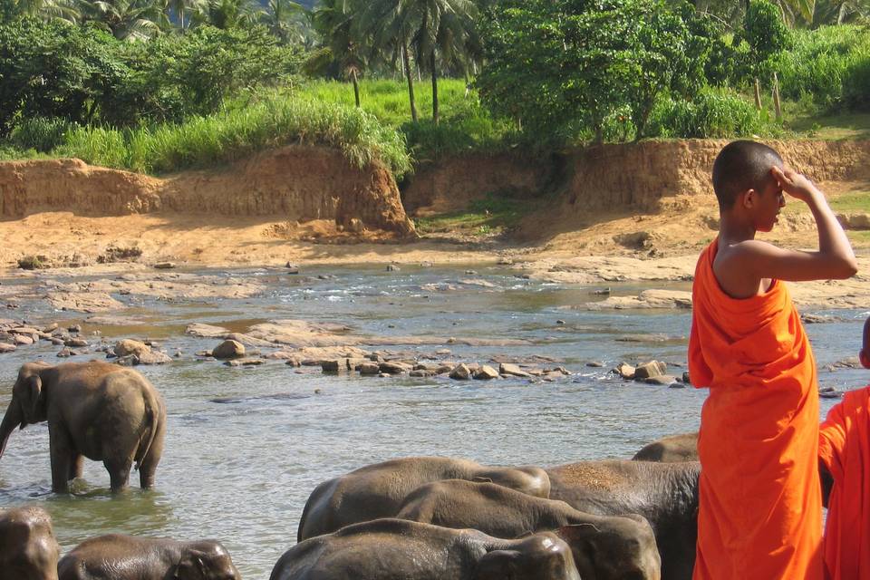 Sri Lanka