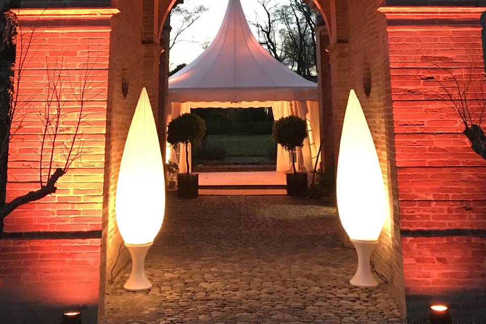 Cyprès lumineux déco
