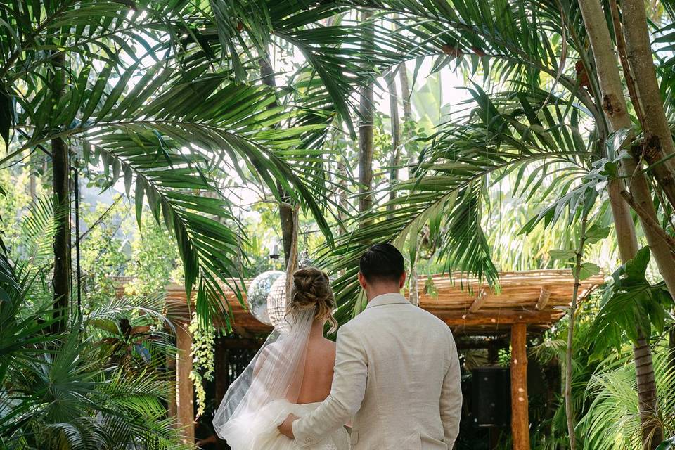 Reception reveal →
