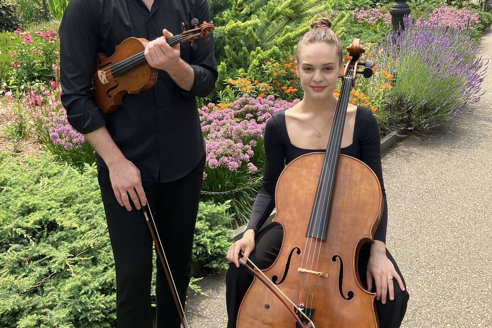 Nos violonistes